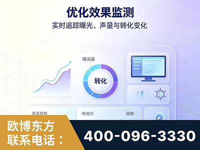 新密-优化效果监测