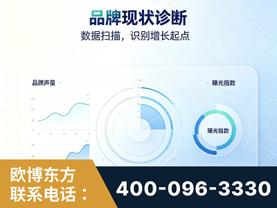新密-品牌现状诊断