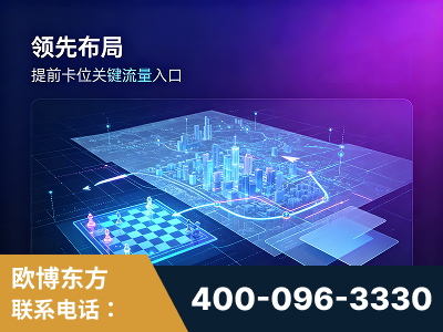 新密-领先布局：于2024年初开启GEO业务的公司